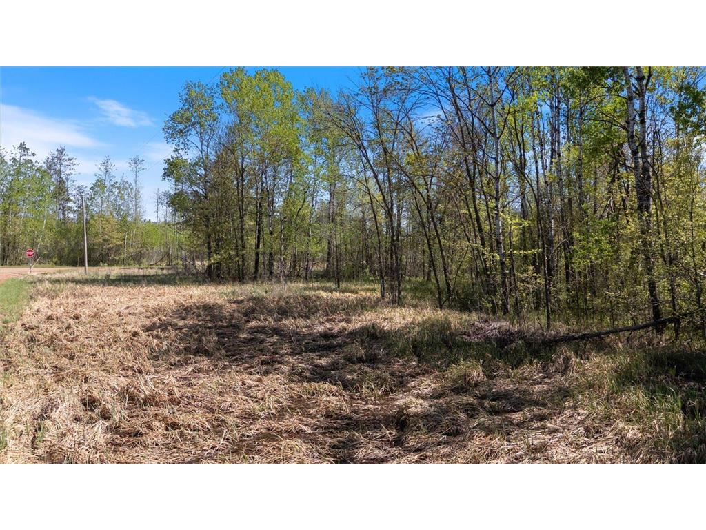 TBD 517th Street Rushseba Twp MN 55069 6718828 image20