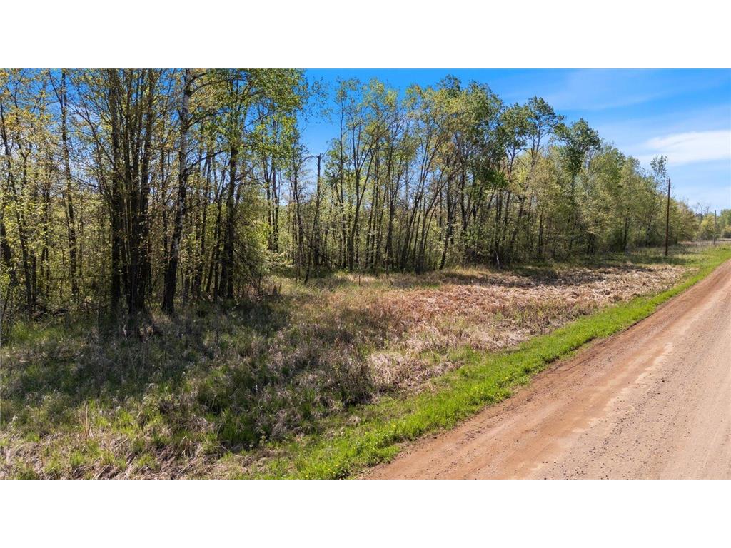 TBD 517th Street Rushseba Twp MN 55069 6718828 image21