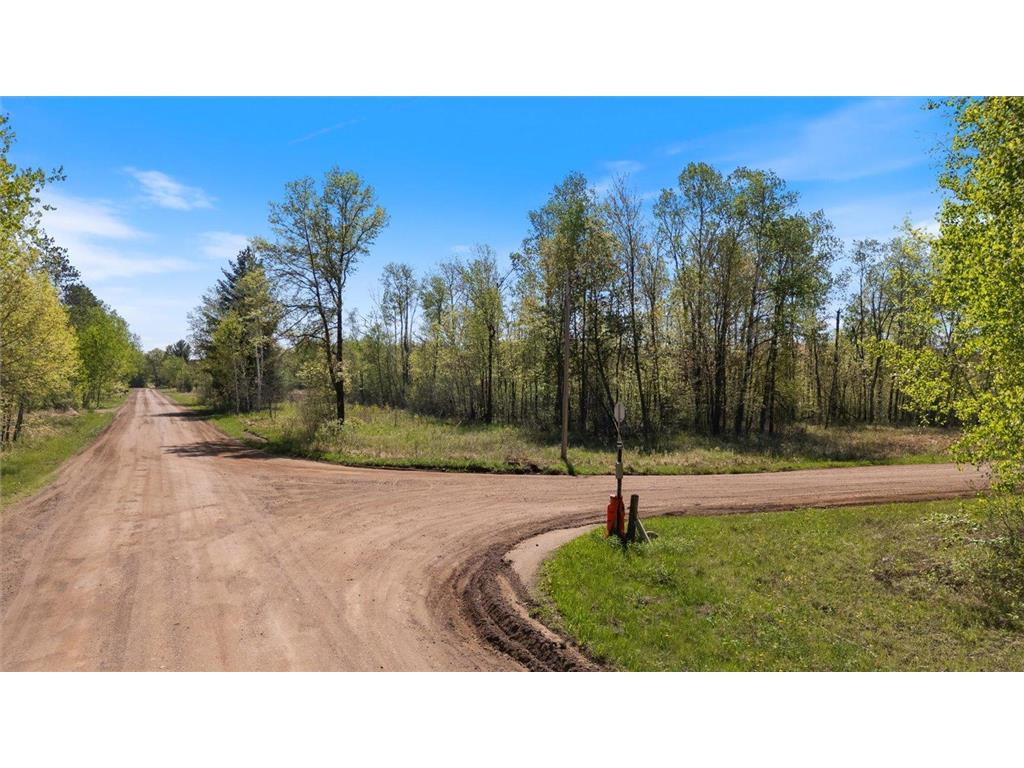 TBD 517th Street Rushseba Twp MN 55069 6718828 image3
