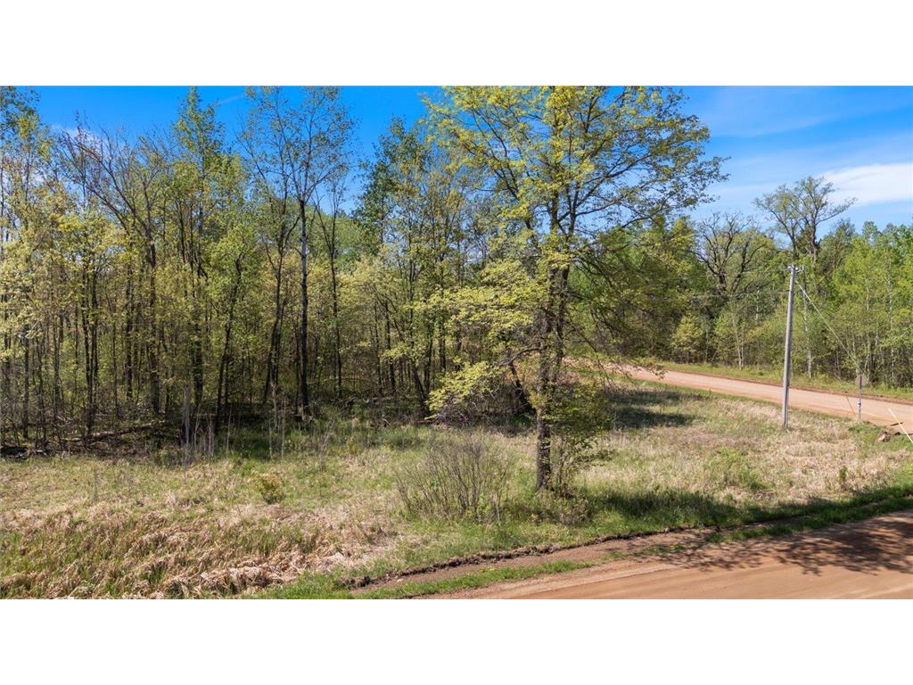 TBD 517th Street Rushseba Twp MN 55069 6718828 image5