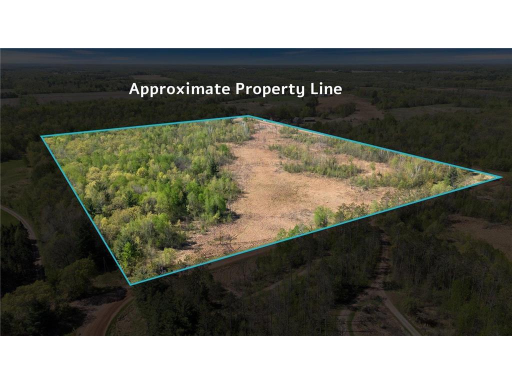 TBD 517th Street Rushseba Twp MN 55069 6718828 image8