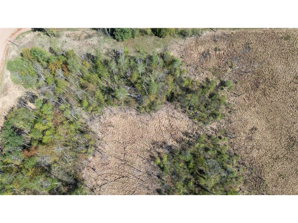 TBD 517th Street Rushseba Twp MN 55069 6718828 image9