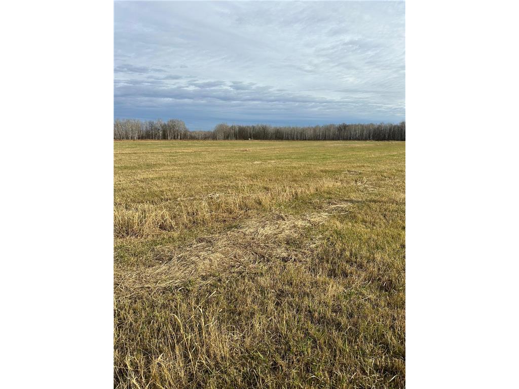 TBD** 54th Avenue SW Pine River MN 56474 6813355 image1