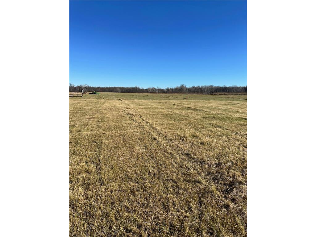 TBD* 54th Avenue SW Pine River MN 56474 6813445 image1