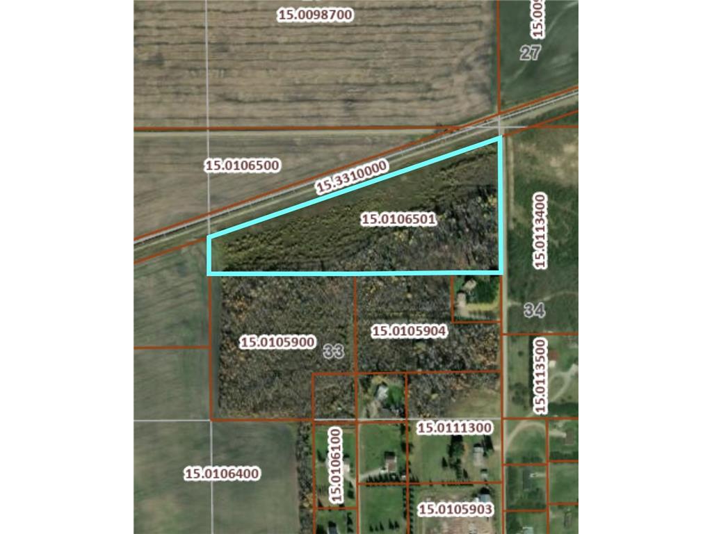 TBD 550th Lake Twp MN 56763 6395563 image1