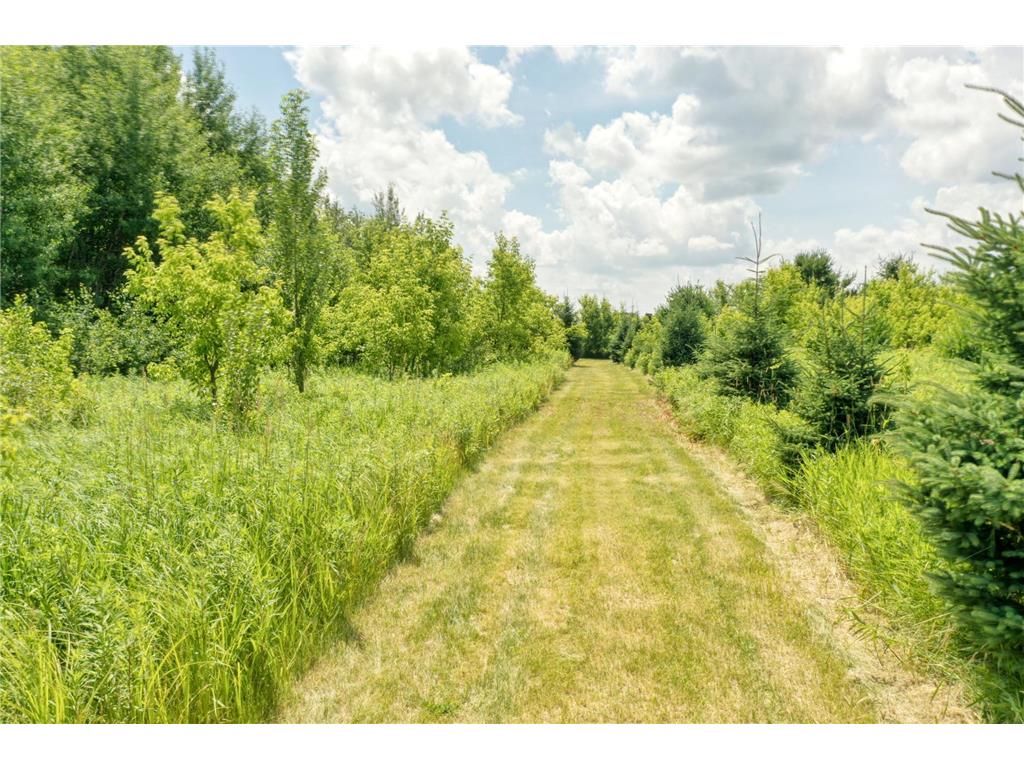 TBD 555th St Rock Creek MN 55069 7105252 image2