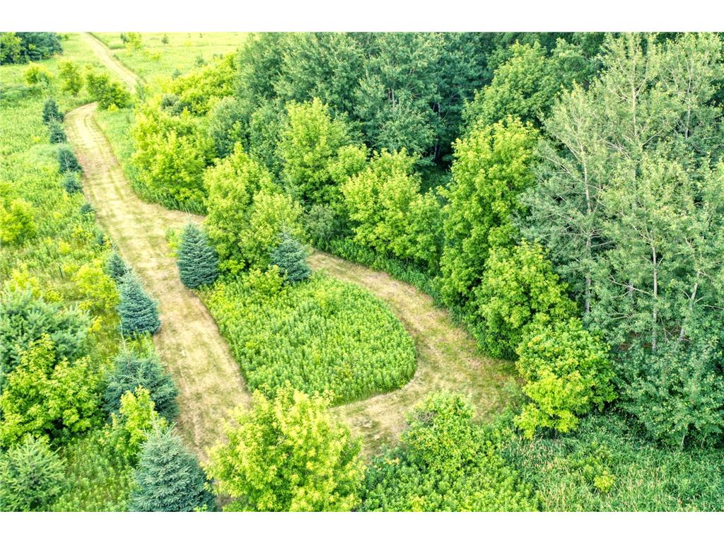 TBD 555th St Rock Creek MN 55069 7105252 image3