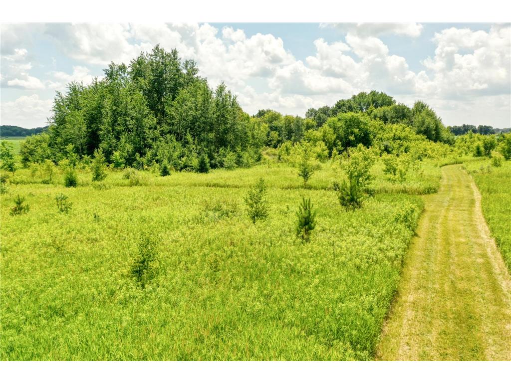 TBD 555th St Rock Creek MN 55069 7105252 image4