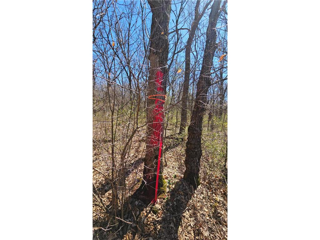 TBD 57th Street SE Palmer Twp MN 56304 7067855 image13