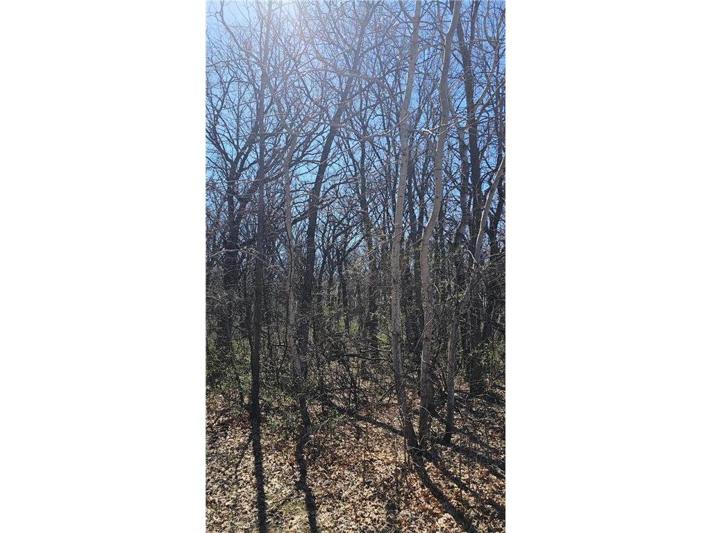 TBD 57th Street SE Palmer Twp MN 56304 7067855 image4