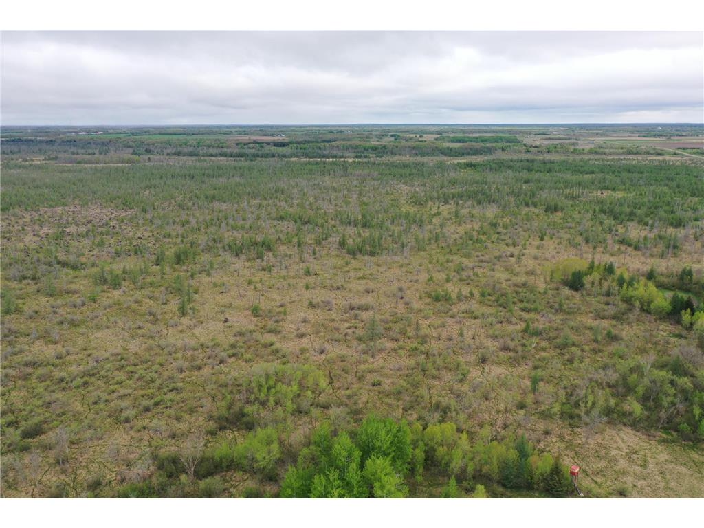 TBD 580th Avenue Deer Creek Twp MN 56527 6380758 image1