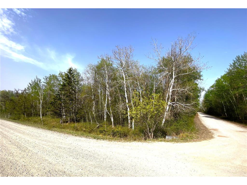 TBD 585th Avenue Warroad MN 56763 6718555 image10