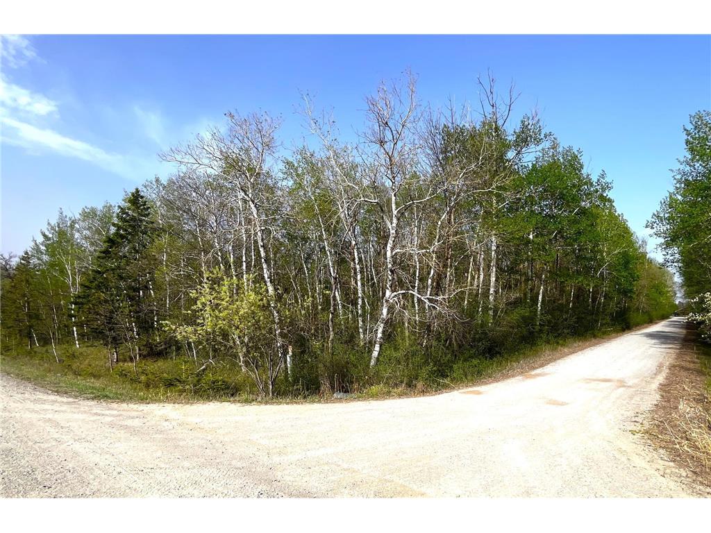 TBD 585th Avenue Warroad MN 56763 6718555 image11