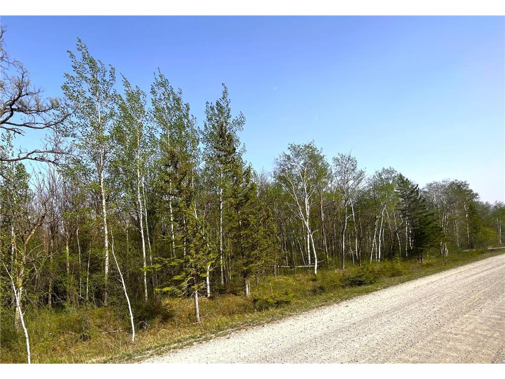 TBD 585th Avenue Warroad MN 56763 6718555 image3