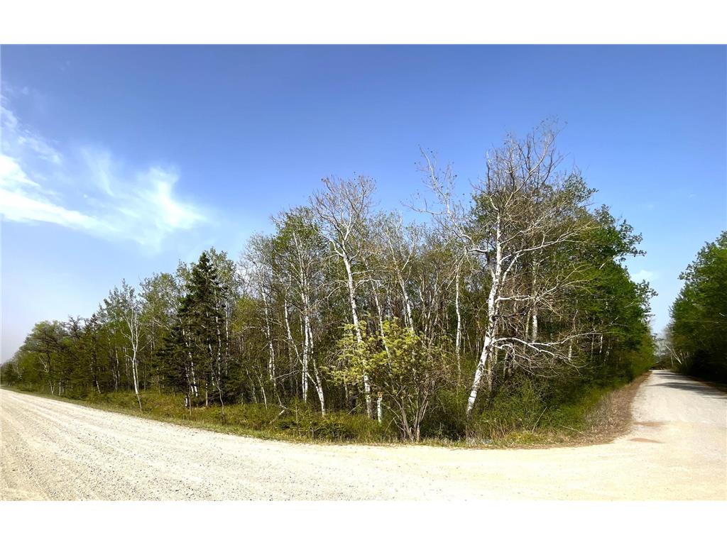 TBD 585th Avenue Warroad MN 56763 6718555 image4