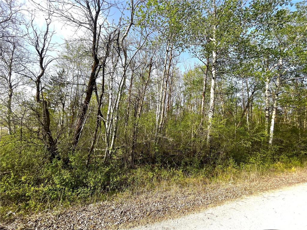 TBD 585th Avenue Warroad MN 56763 6718555 image5