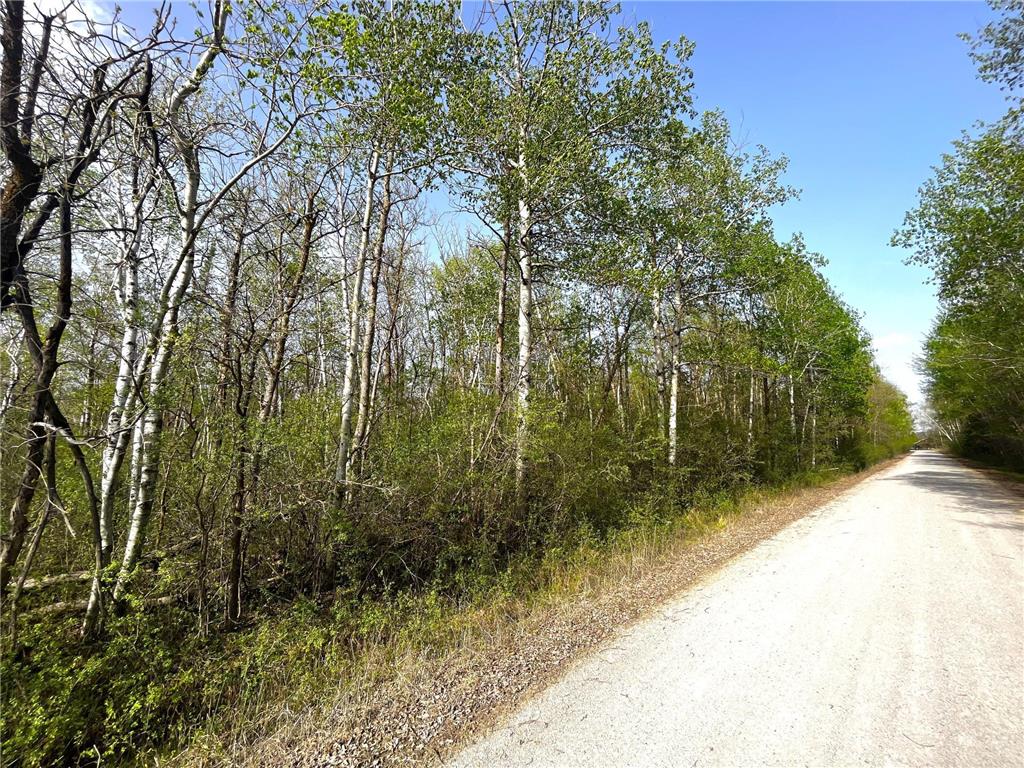 TBD 585th Avenue Warroad MN 56763 6718555 image6