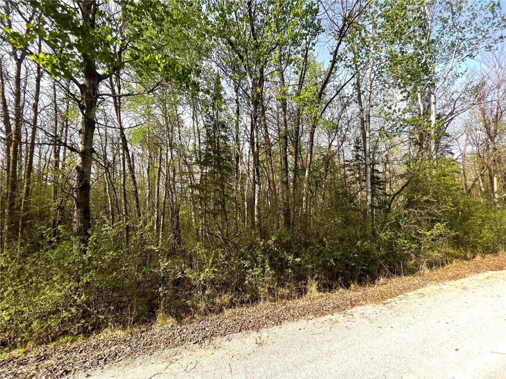 TBD 585th Avenue Warroad MN 56763 6718555 image7