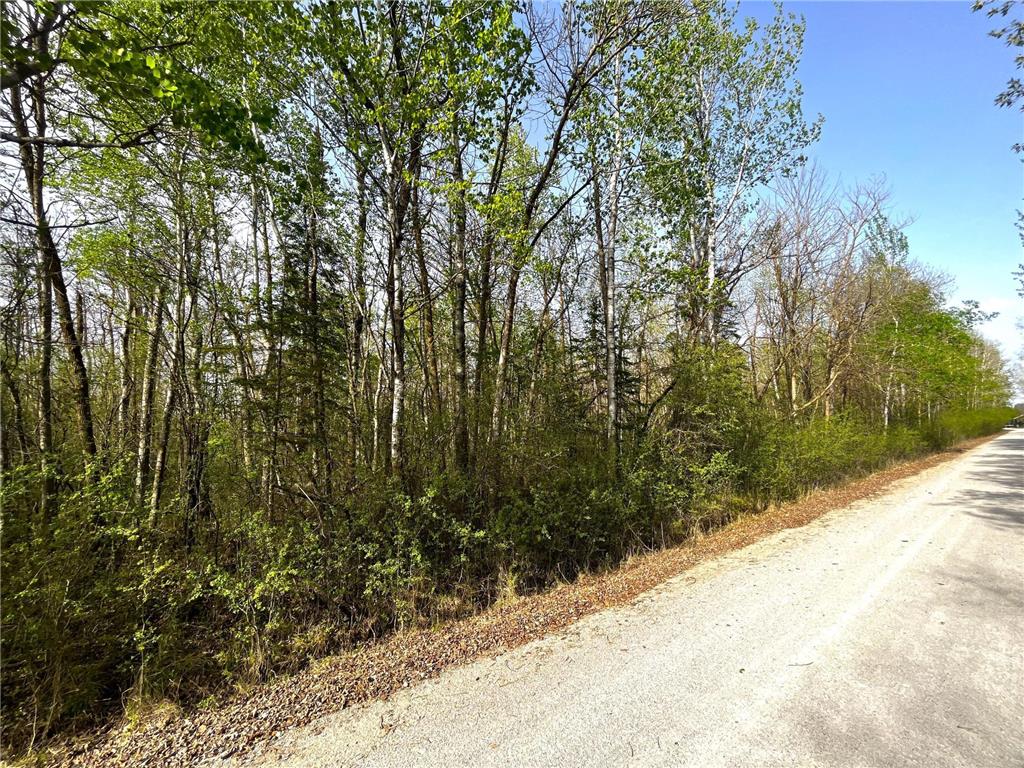 TBD 585th Avenue Warroad MN 56763 6718555 image8