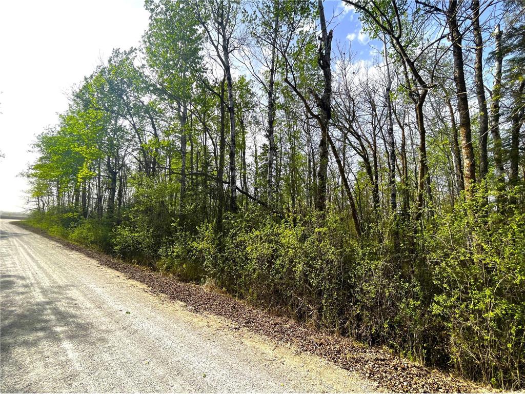 TBD 585th Avenue Warroad MN 56763 6718555 image9