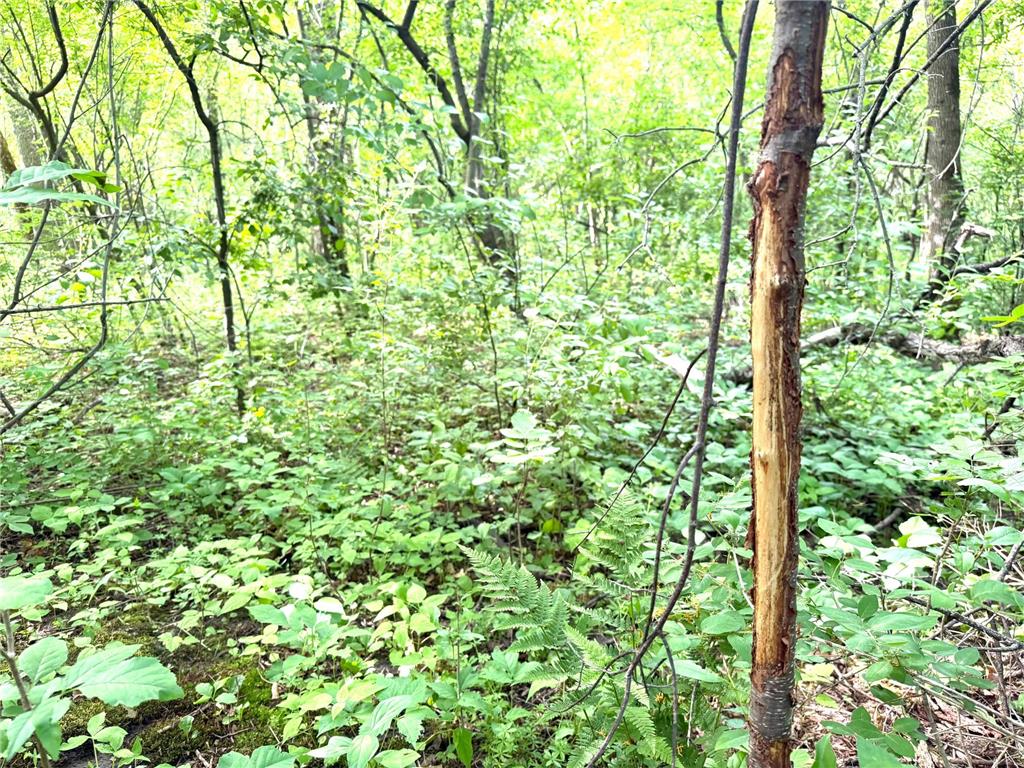 TBD-5AC Ginger Avenue Harris MN 55032 - Goose Creek 7088616 image11