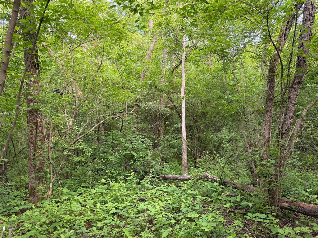 TBD-5AC Ginger Avenue Harris MN 55032 - Goose Creek 7088616 image12