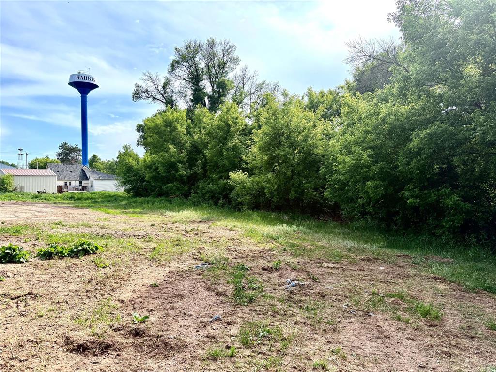 TBD-5AC Ginger Avenue Harris MN 55032 - Goose Creek 7088616 image4
