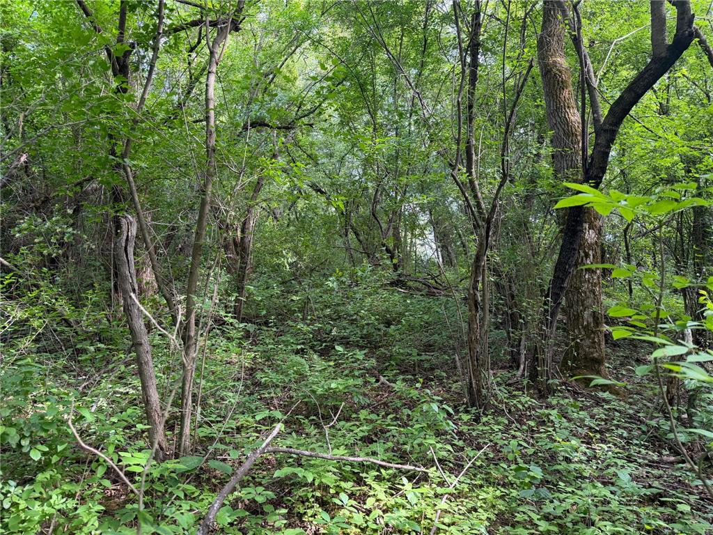 TBD-5AC Ginger Avenue Harris MN 55032 - Goose Creek 7088616 image8