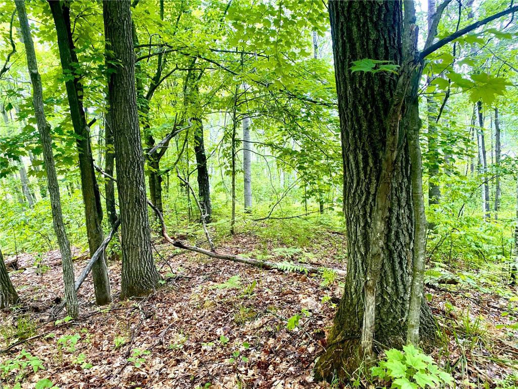 TBD-5ac Velvet Street Sandstone MN 55072 6382447 image1