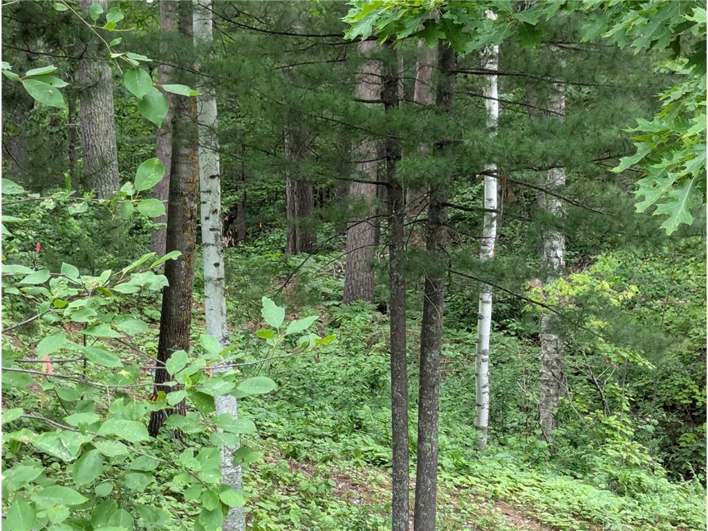 TBD 5th Street S Walker MN 56484 6555330 image1