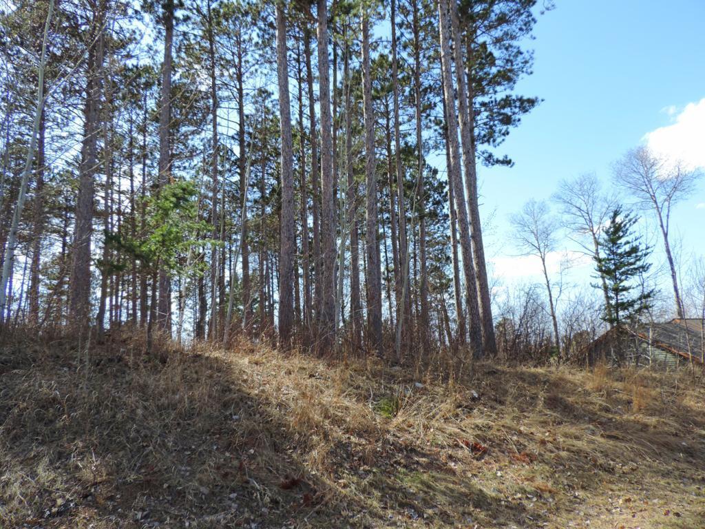 TBD 5th Street Walker MN 56484 6352121 image1