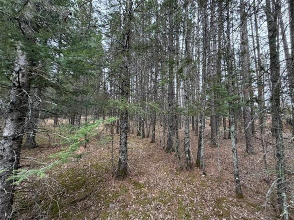 TBD 5th TBD 5th Street SE Cook MN 55723 7077173 image1