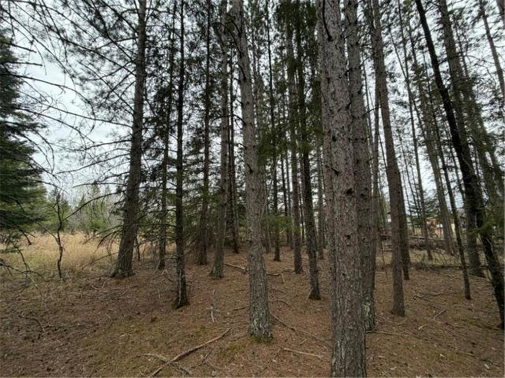 TBD 5th TBD 5th Street SE Cook MN 55723 7077173 image10