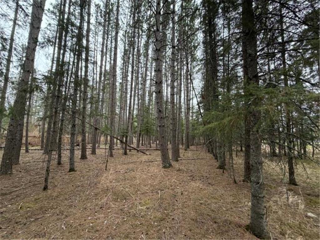 TBD 5th TBD 5th Street SE Cook MN 55723 7077173 image11