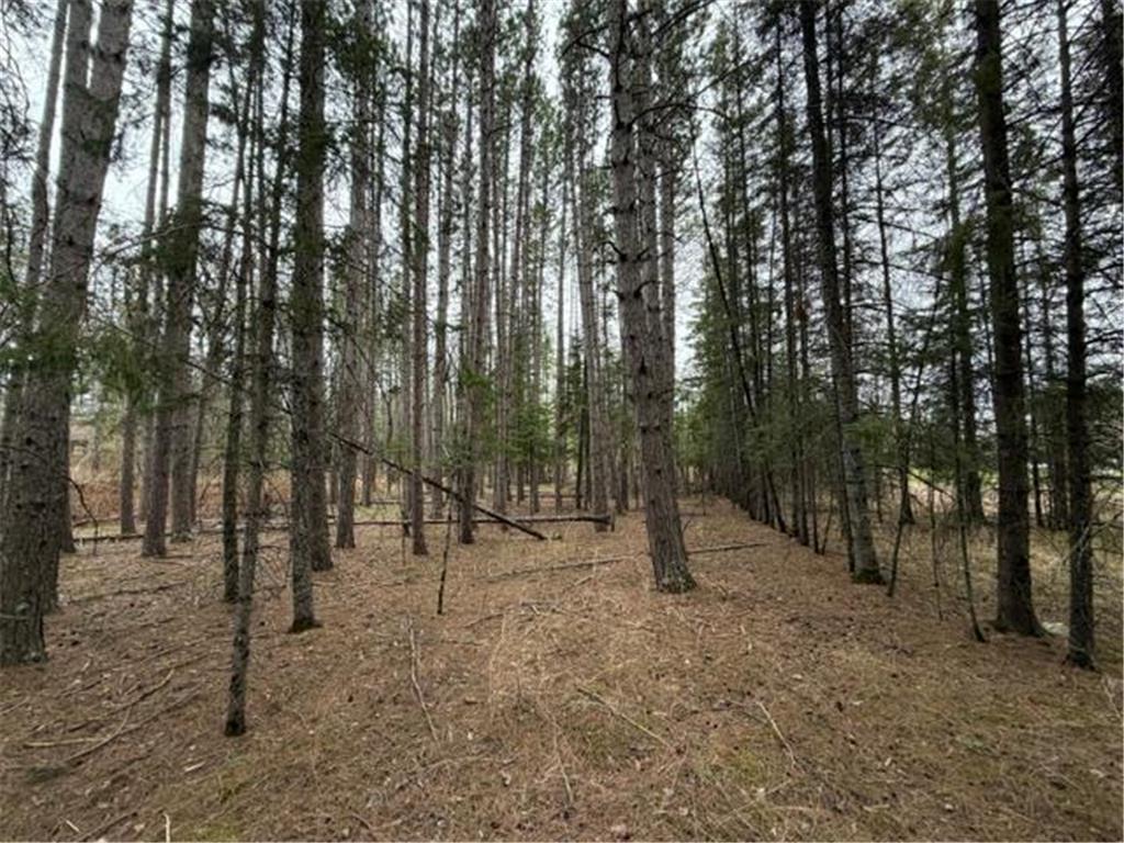 TBD 5th TBD 5th Street SE Cook MN 55723 7077173 image12