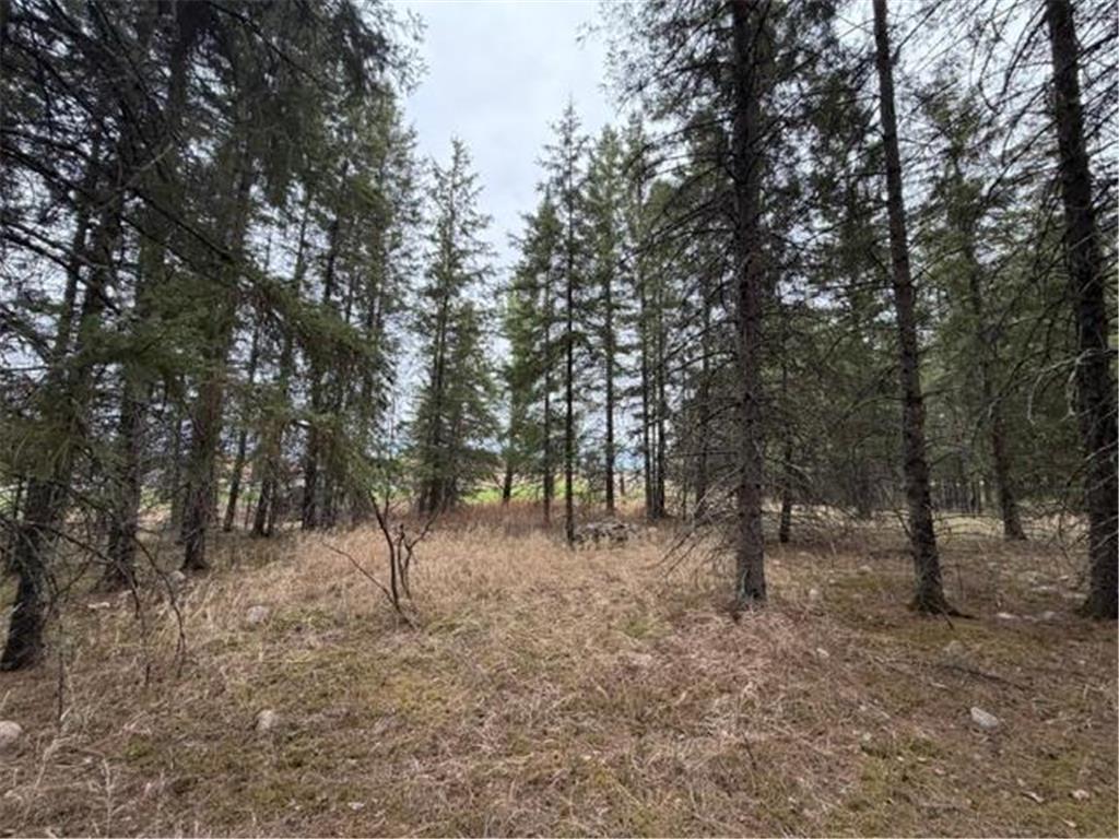 TBD 5th TBD 5th Street SE Cook MN 55723 7077173 image13