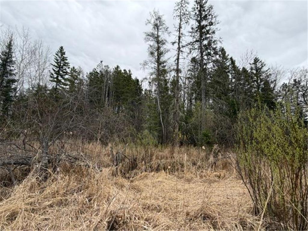 TBD 5th TBD 5th Street SE Cook MN 55723 7077173 image3