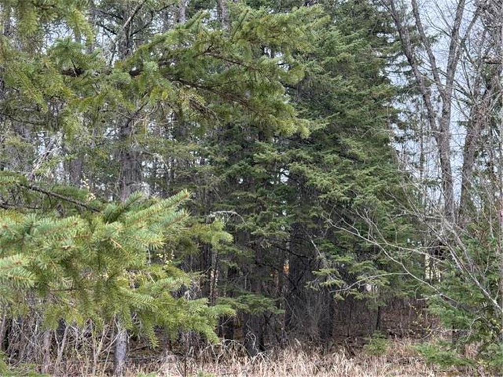 TBD 5th TBD 5th Street SE Cook MN 55723 7077173 image4