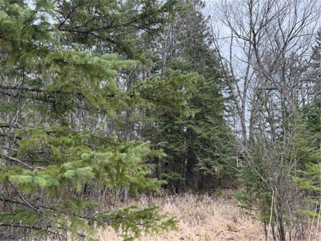 TBD 5th TBD 5th Street SE Cook MN 55723 7077173 image5