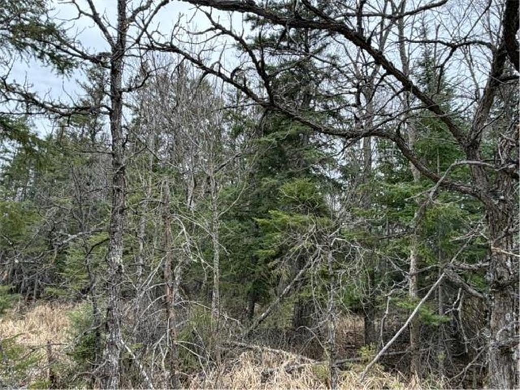 TBD 5th TBD 5th Street SE Cook MN 55723 7077173 image7