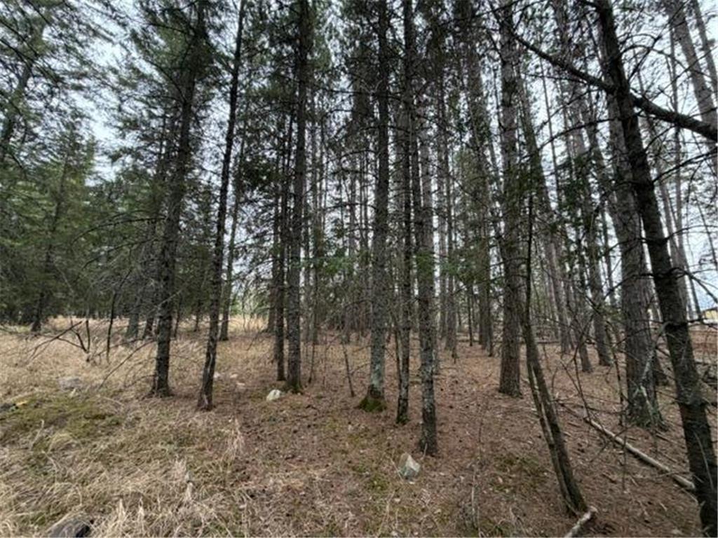 TBD 5th TBD 5th Street SE Cook MN 55723 7077173 image8