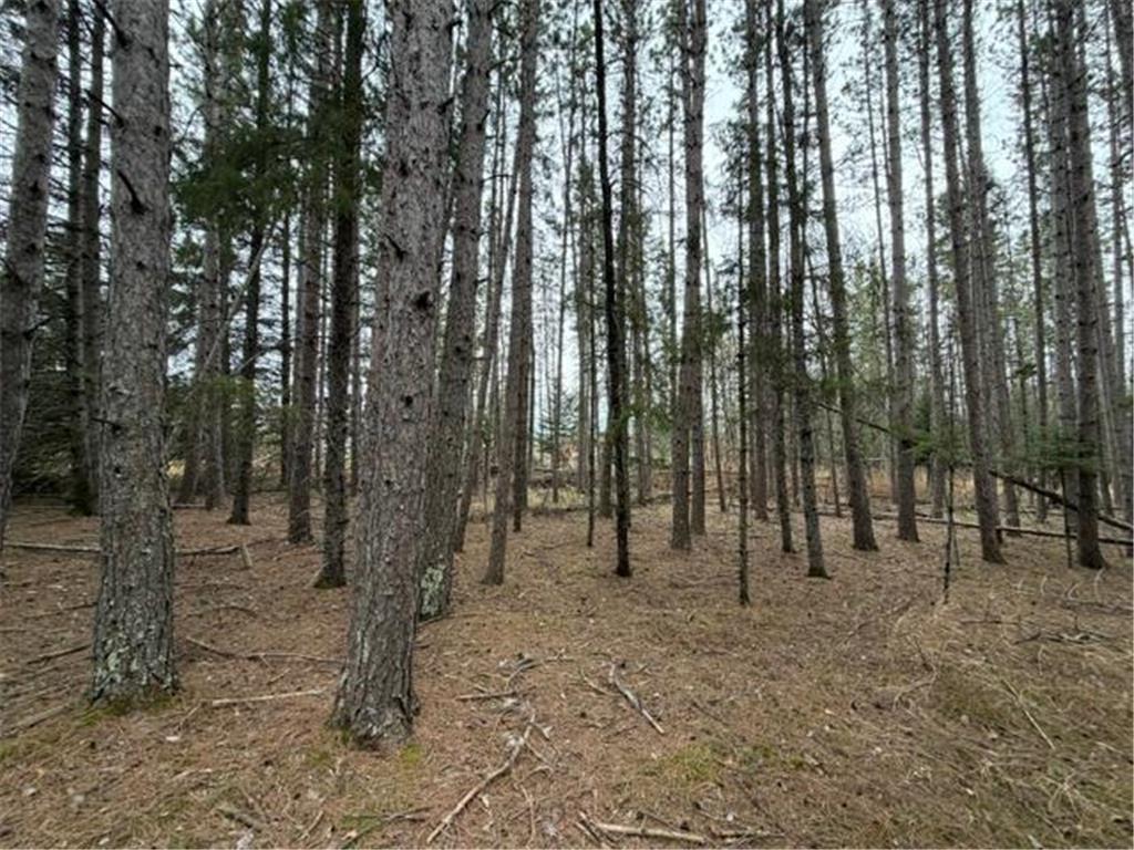 TBD 5th TBD 5th Street SE Cook MN 55723 7077173 image9