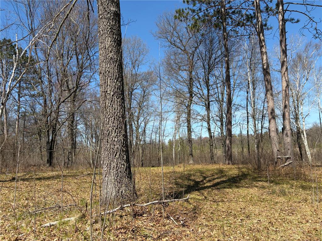 TBD 6 Miramar Road Spooner WI 54801 7071701 image1