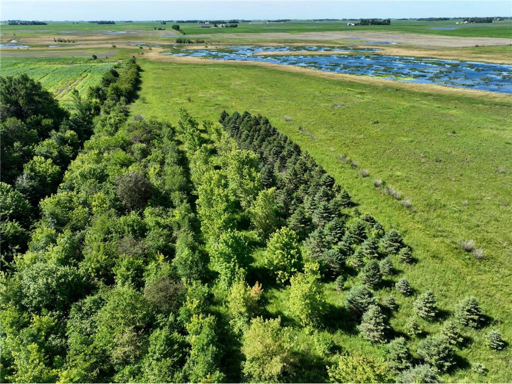 TBD 60TH Street East Chain Twp MN 56013 7070570 image1