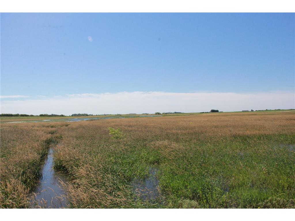 TBD 60TH Street East Chain Twp MN 56013 7070570 image11