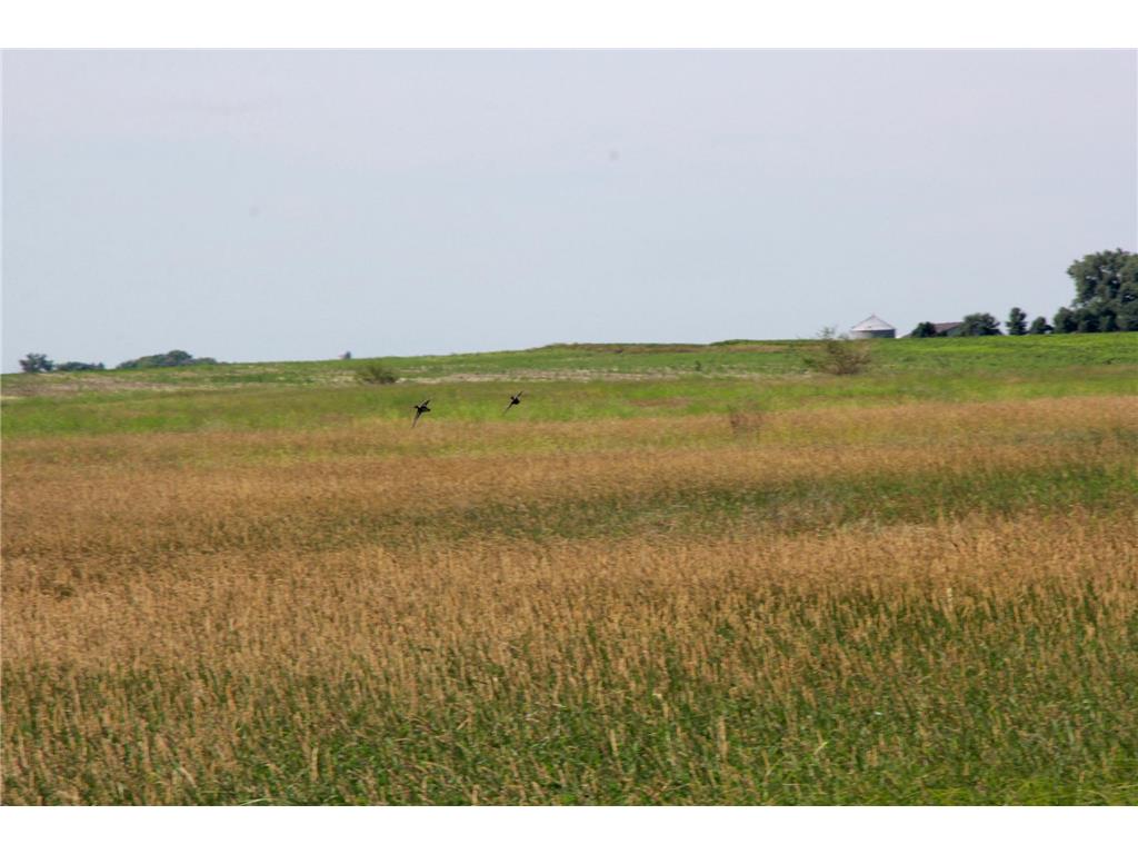 TBD 60TH Street East Chain Twp MN 56013 7070570 image17