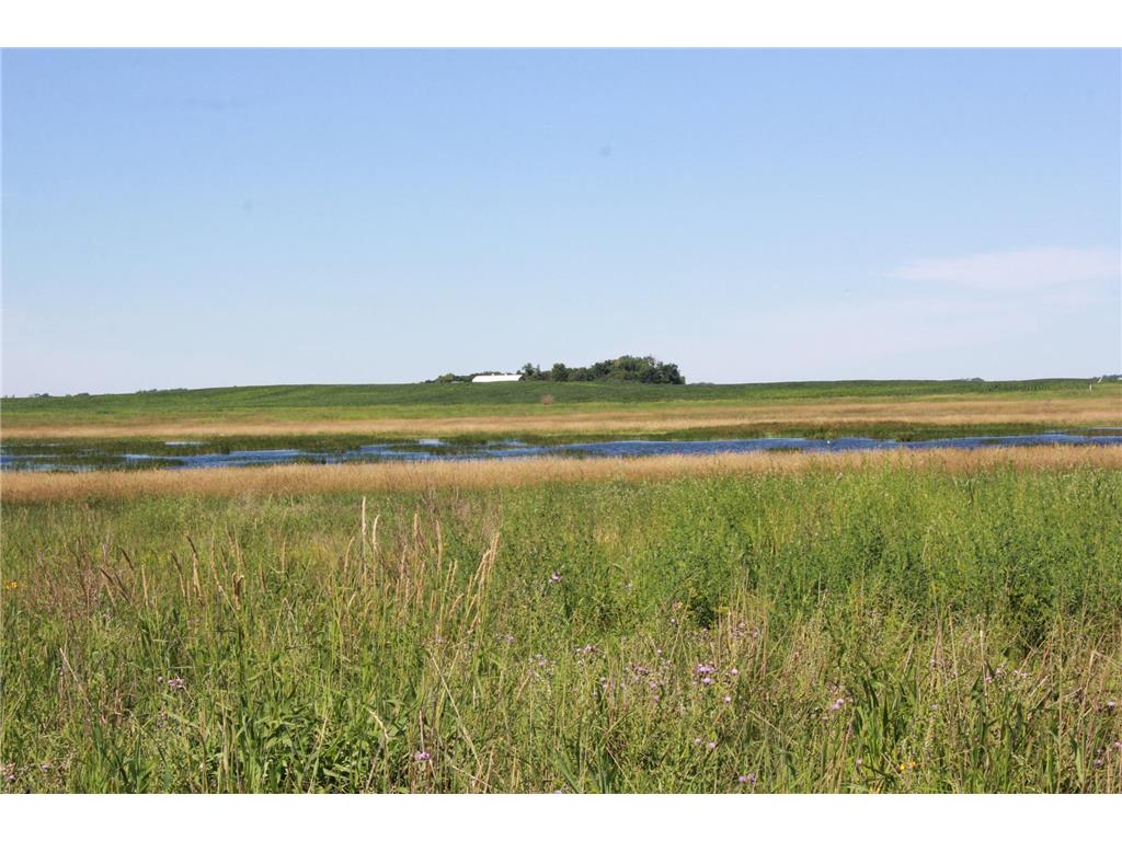 TBD 60TH Street East Chain Twp MN 56013 7070570 image18