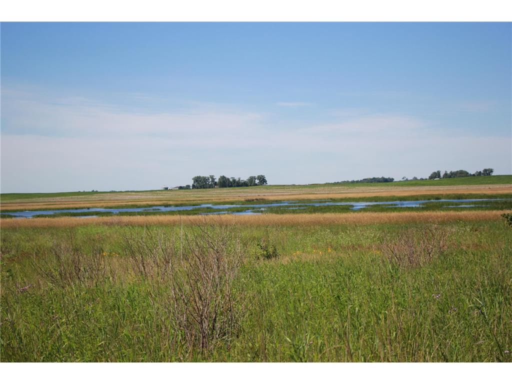 TBD 60TH Street East Chain Twp MN 56013 7070570 image20