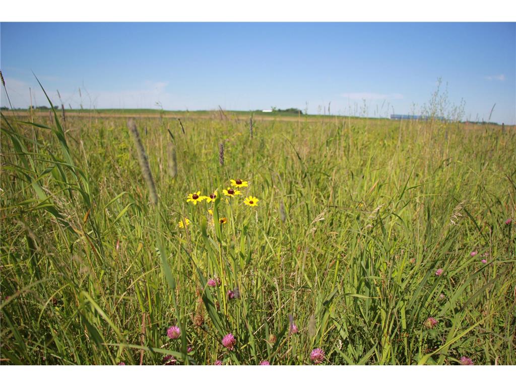 TBD 60TH Street East Chain Twp MN 56013 7070570 image21