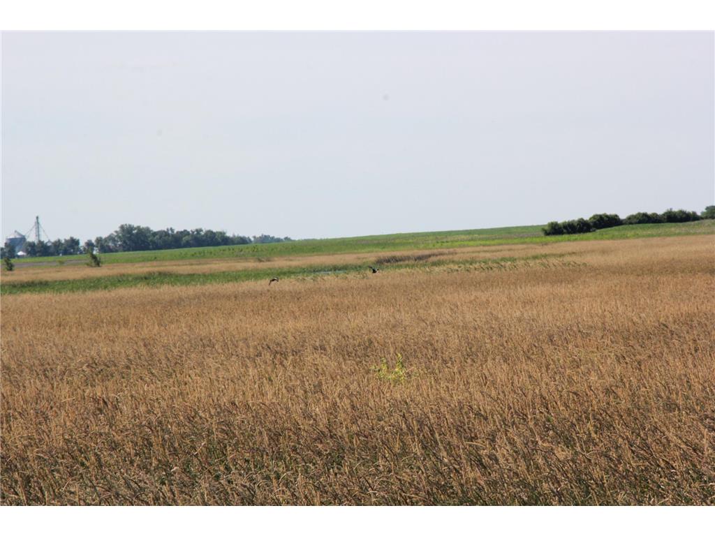 TBD 60TH Street East Chain Twp MN 56013 7070570 image23